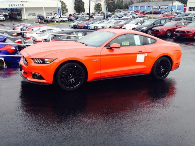 Mustang pic 2.jpg