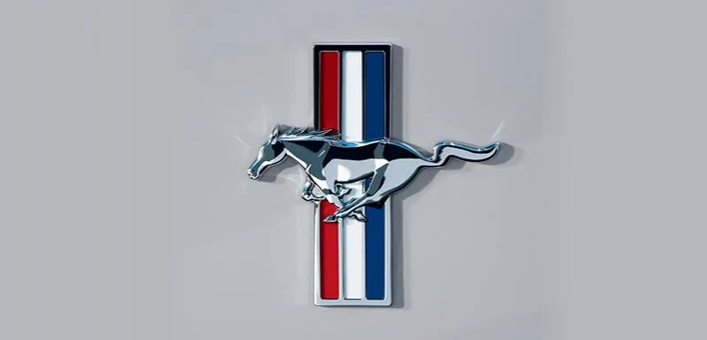 White Horse.webp