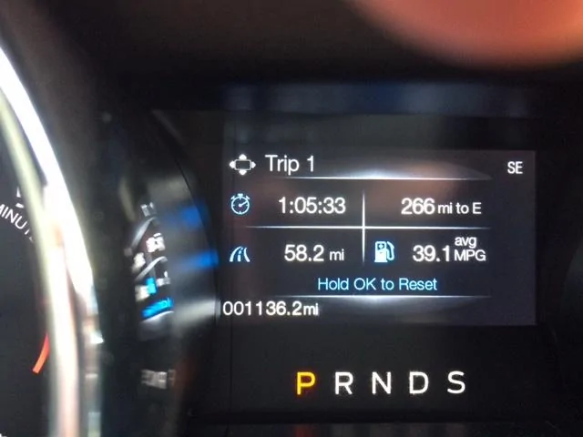 MPG.webp