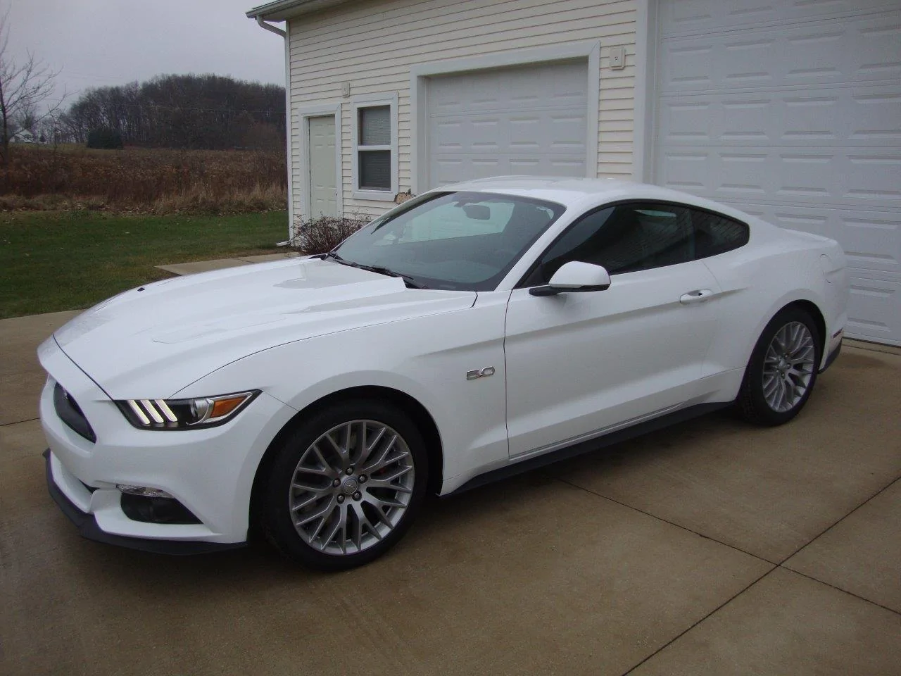 2015 Mustang 1.webp