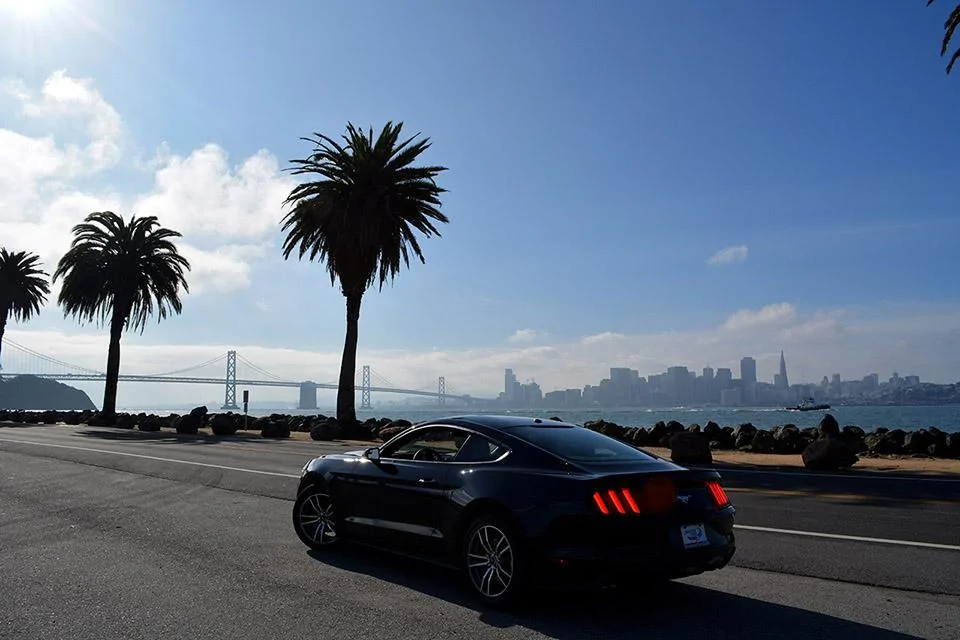 mustang6G-3.webp