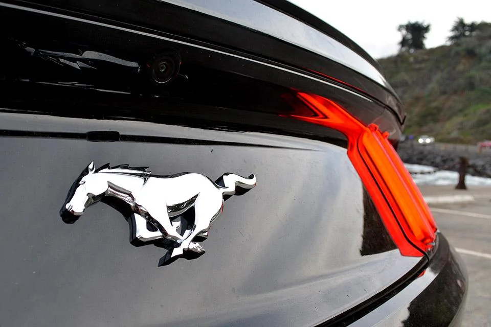 mustang6G-6.webp
