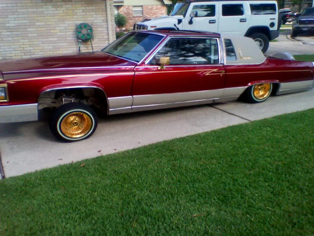 caddi.webp