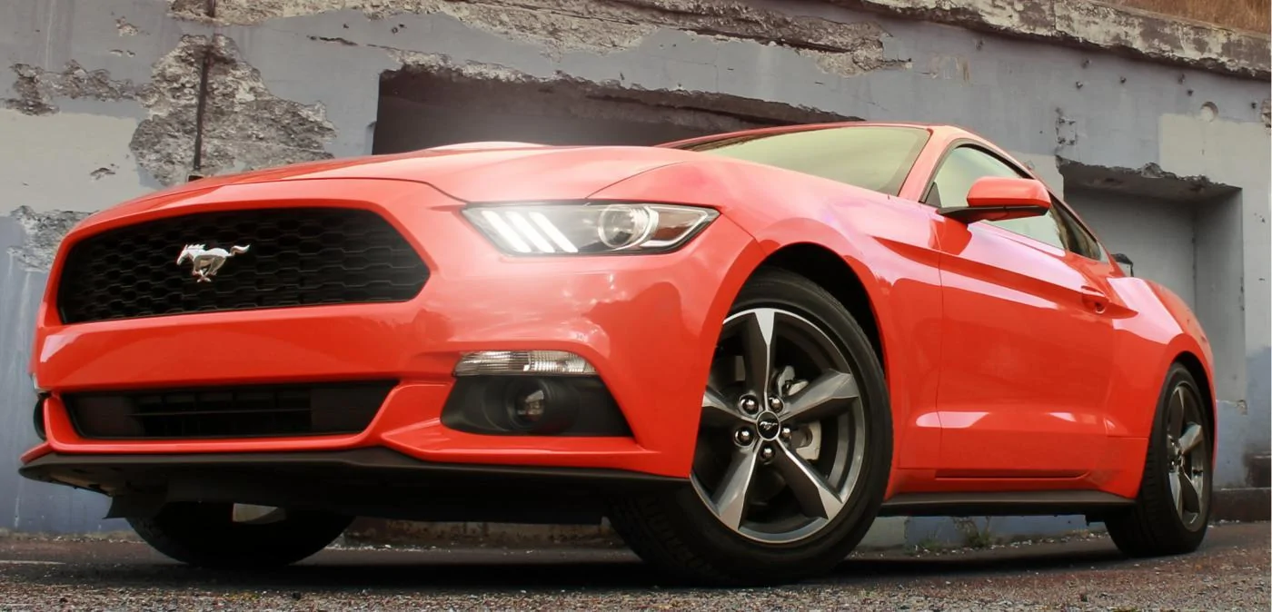 mustang front.webp
