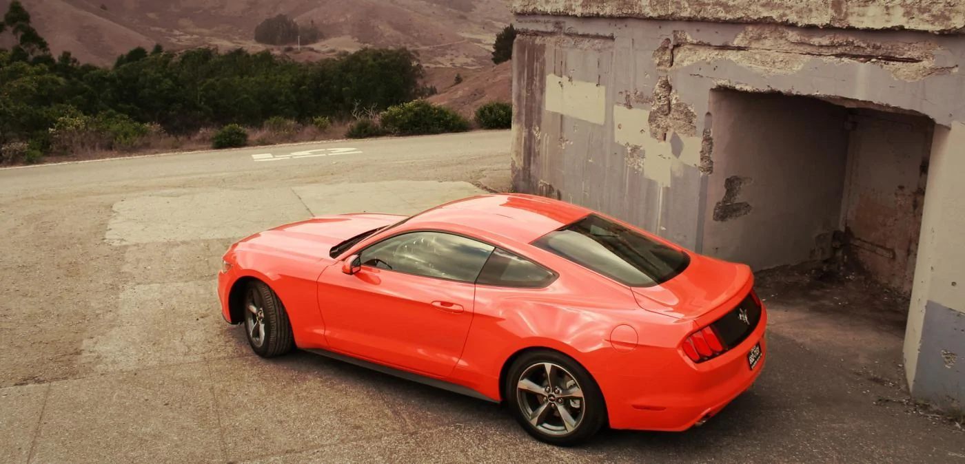 mustang back.webp