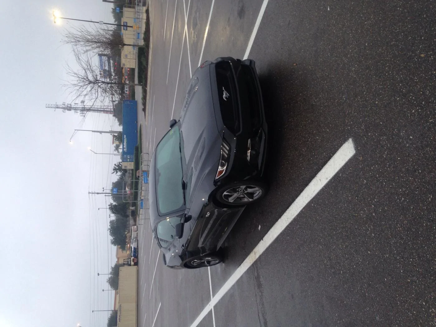 image.webp