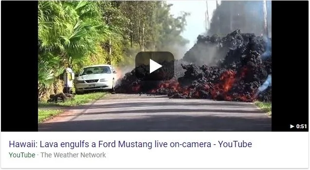 mustang.webp