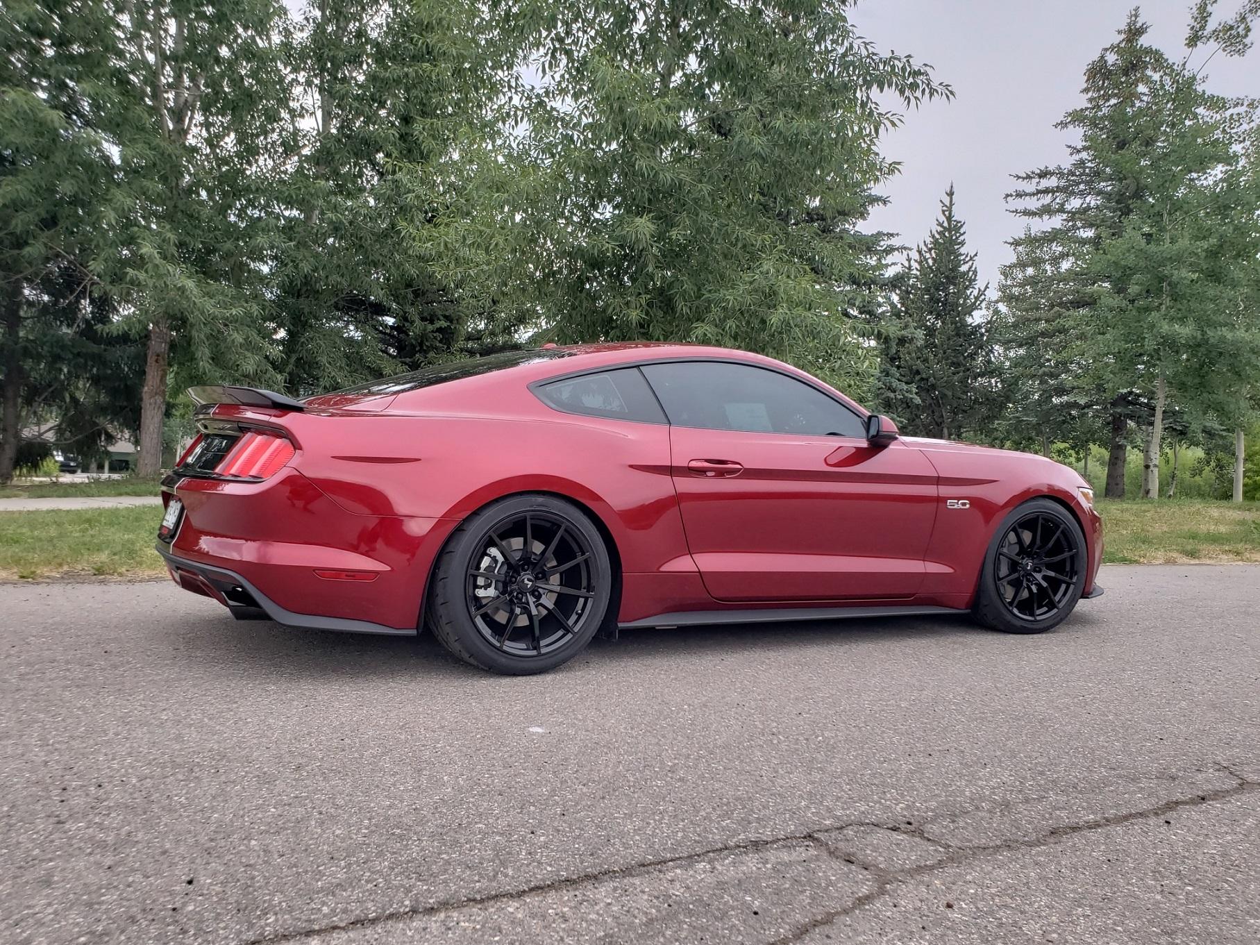 side shot 2.jpg