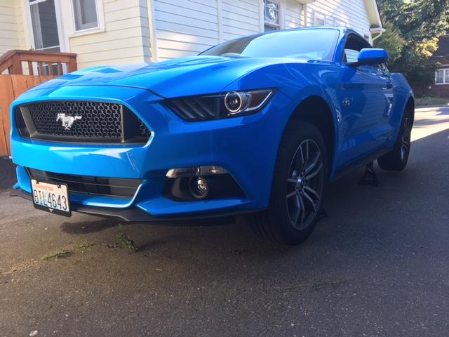 image1.jpeg