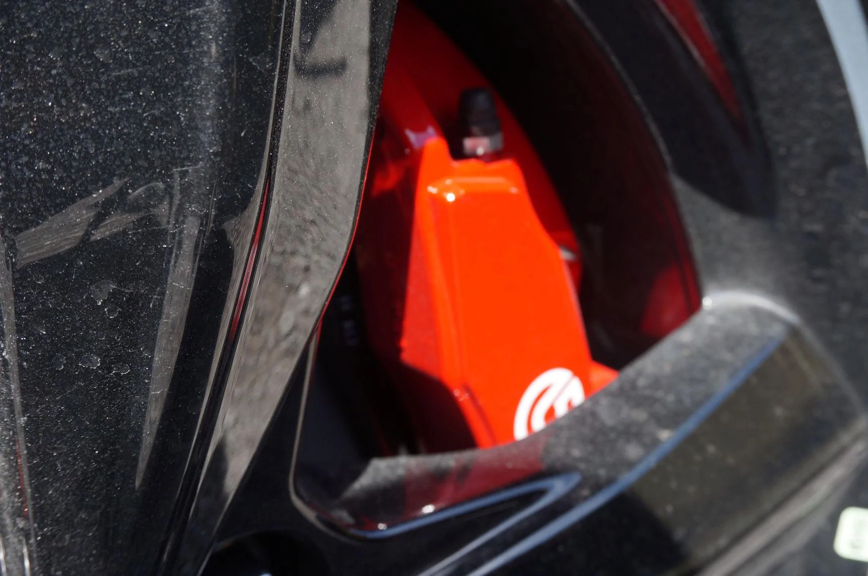 DSC02692_resize35.webp