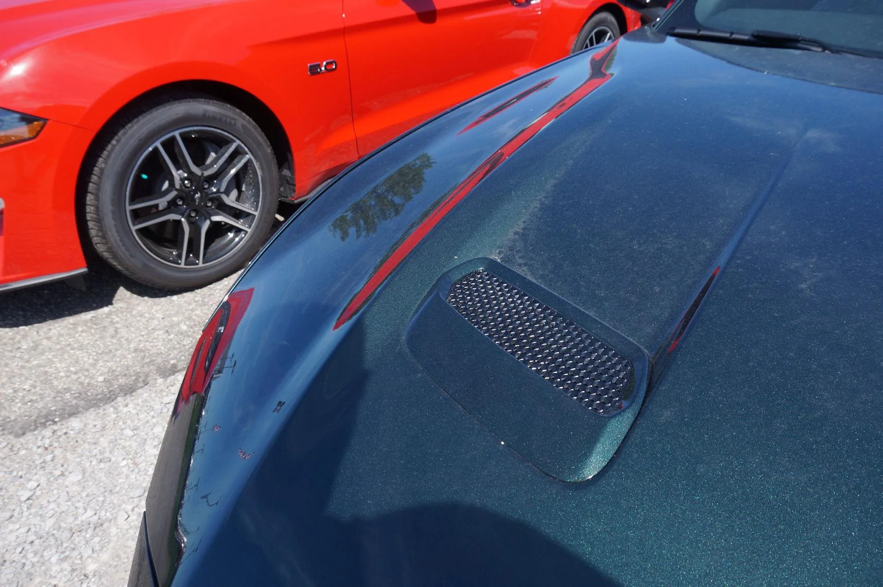 DSC02699_resize35.webp