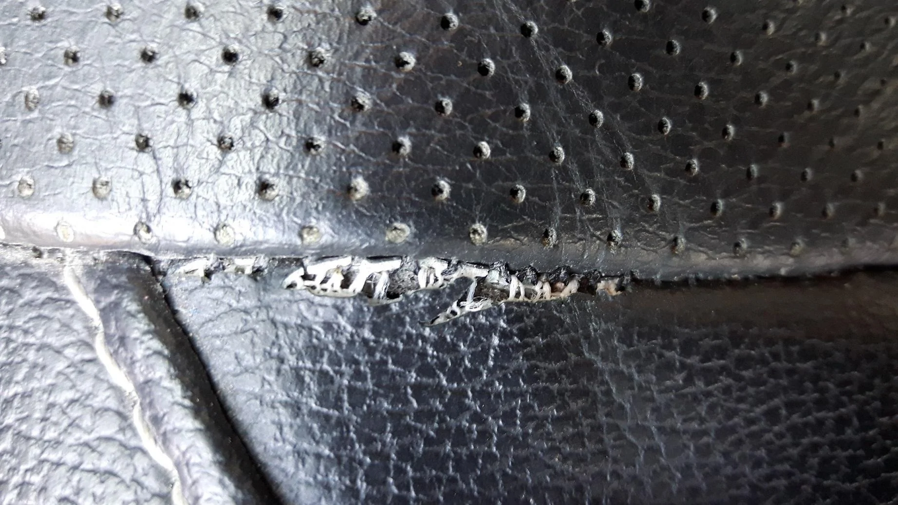 Leather huh.webp