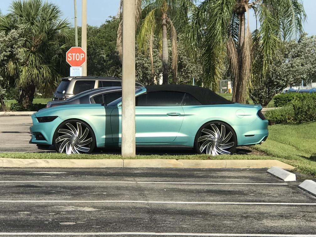 rsz_green_mustang.jpg
