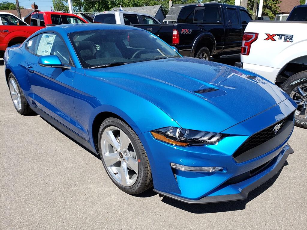 VelocityBlue01 - Copy.jpg