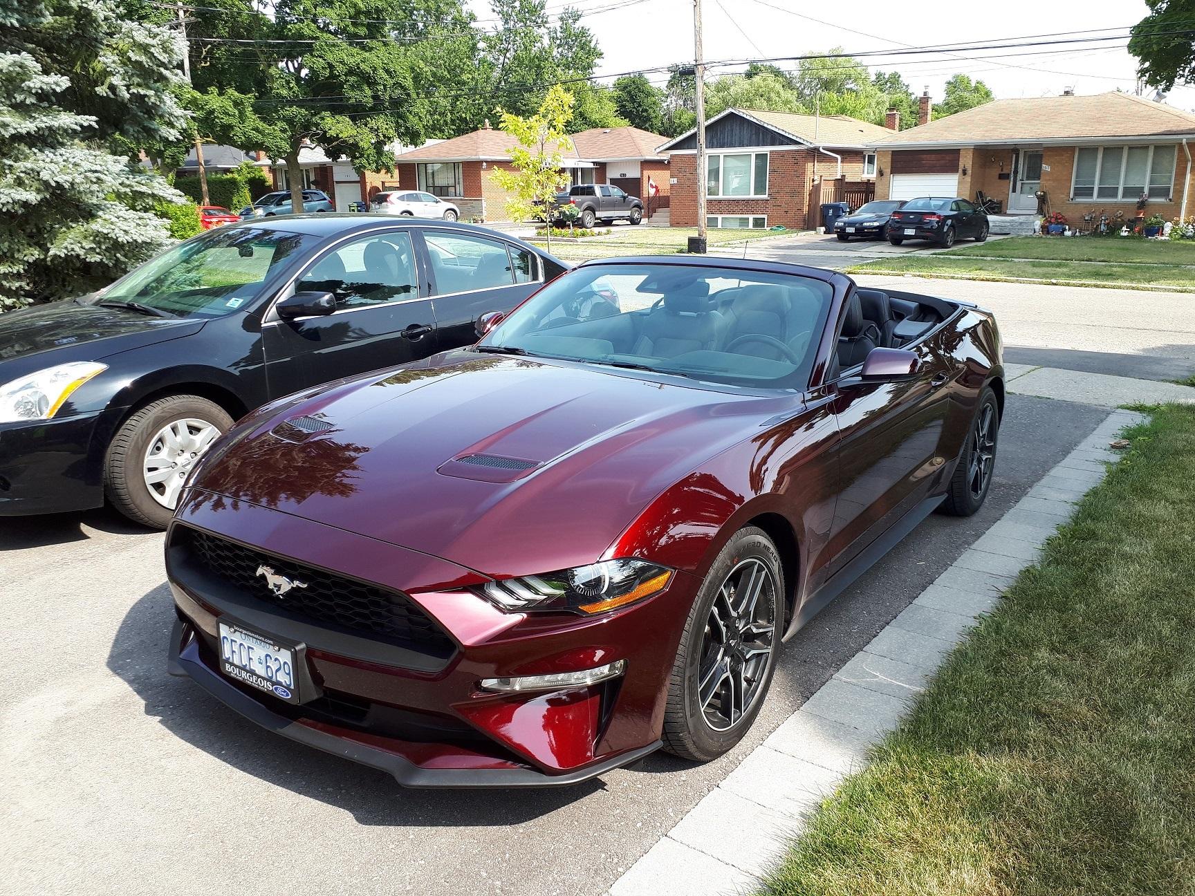 20180712_162958 (2) resize.jpg