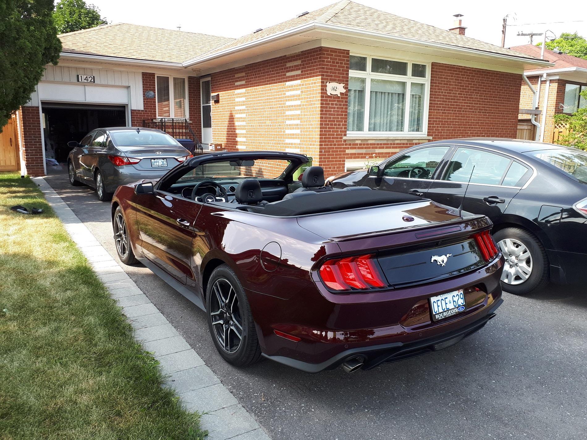 20180712_163017 resize.jpg