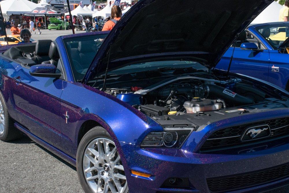 Mustang-14.jpg