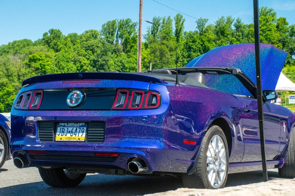 Mustang-33.jpg