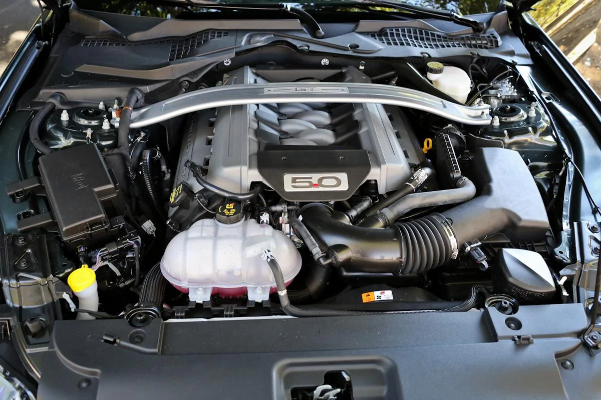 15gt.webp