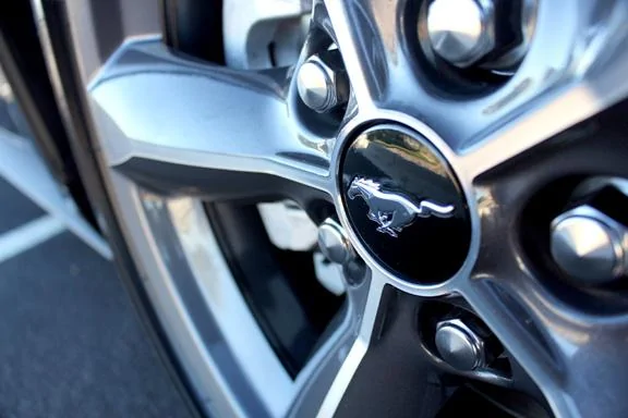 Mustang003.webp