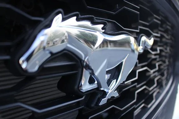 Mustang004.webp