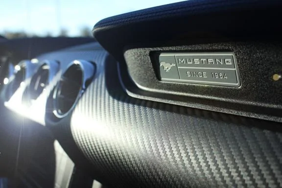 Mustang002.webp