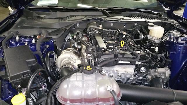 20141230_200230.jpg