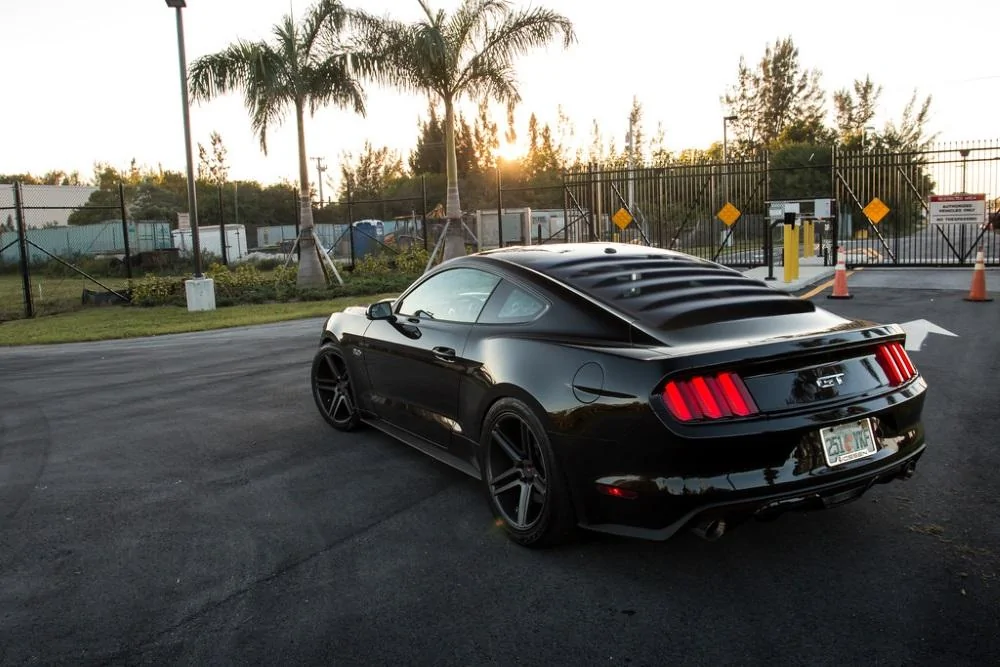 black.webp