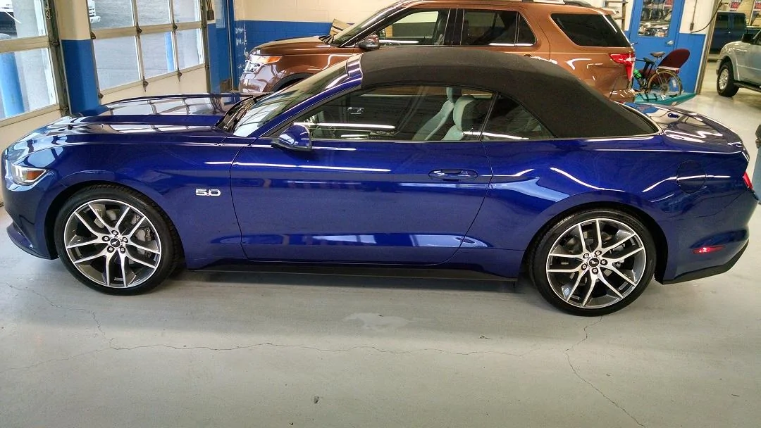 mustang pic1.webp