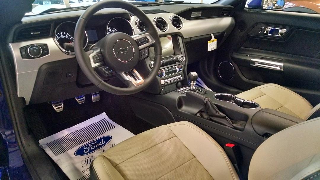 mustang pic2.jpg