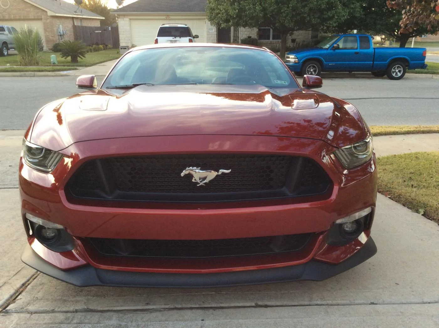 Front.webp