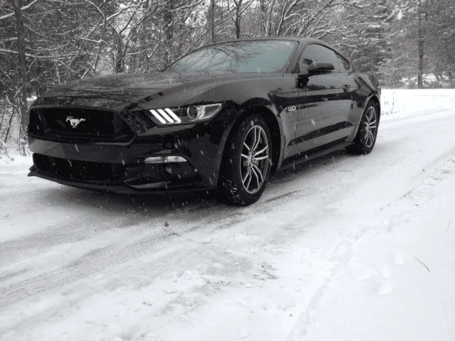 snow drive 2.webp