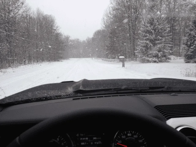 snow drive.webp