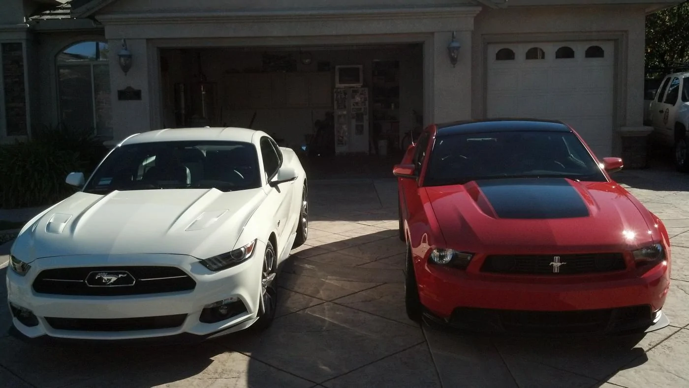 stangs.webp