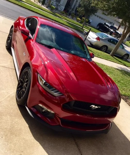 Stang1.webp