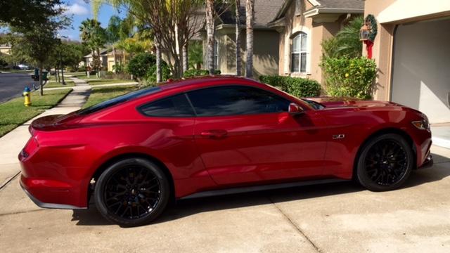 Stang3.jpg