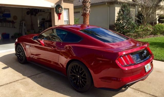 Stang4.jpg