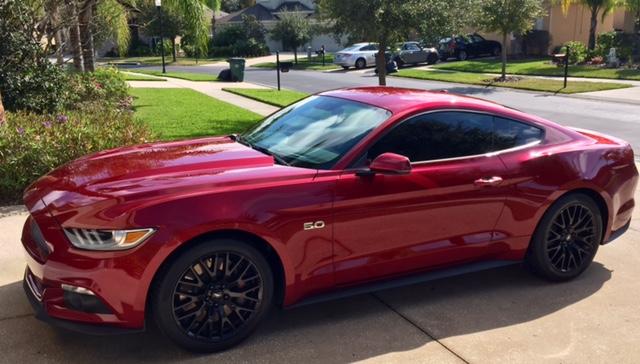 Stang6.jpg