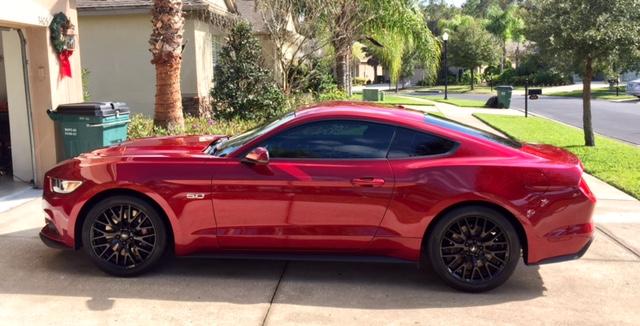 Stang5.jpg