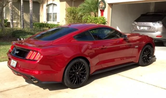 Stang8.webp