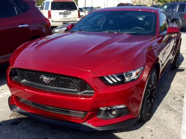 Stang9.webp