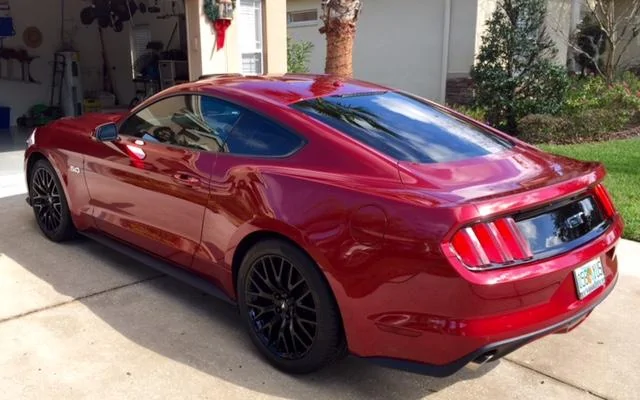Stang11.webp