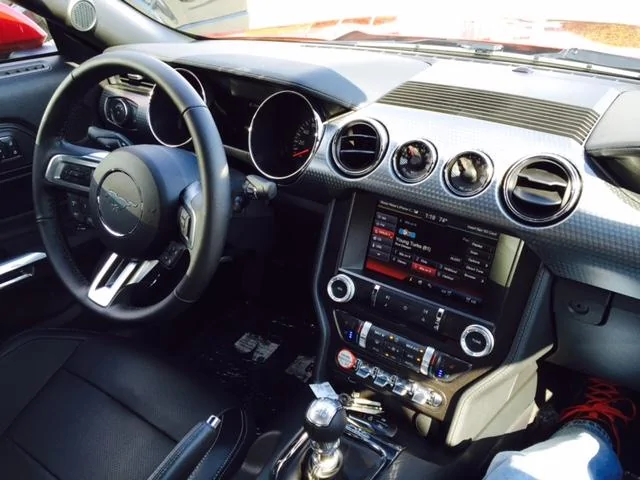 Stang12.webp