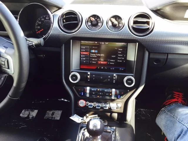 Stang13.webp