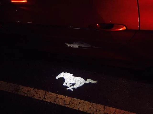 Stang14.webp