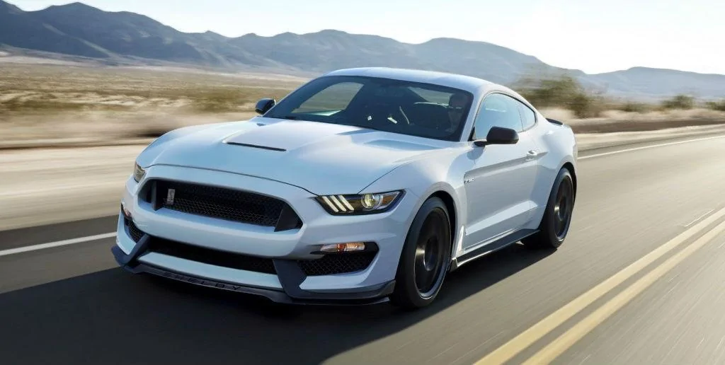 shelby.webp