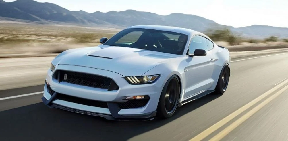 shelby2.webp