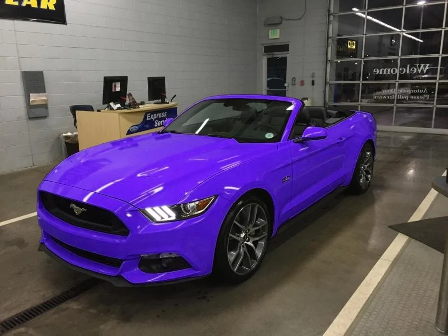 purp.webp
