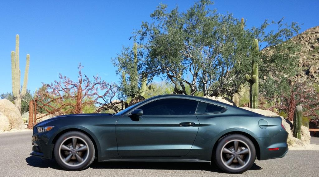Stang2_zpsfb600ea1.jpg