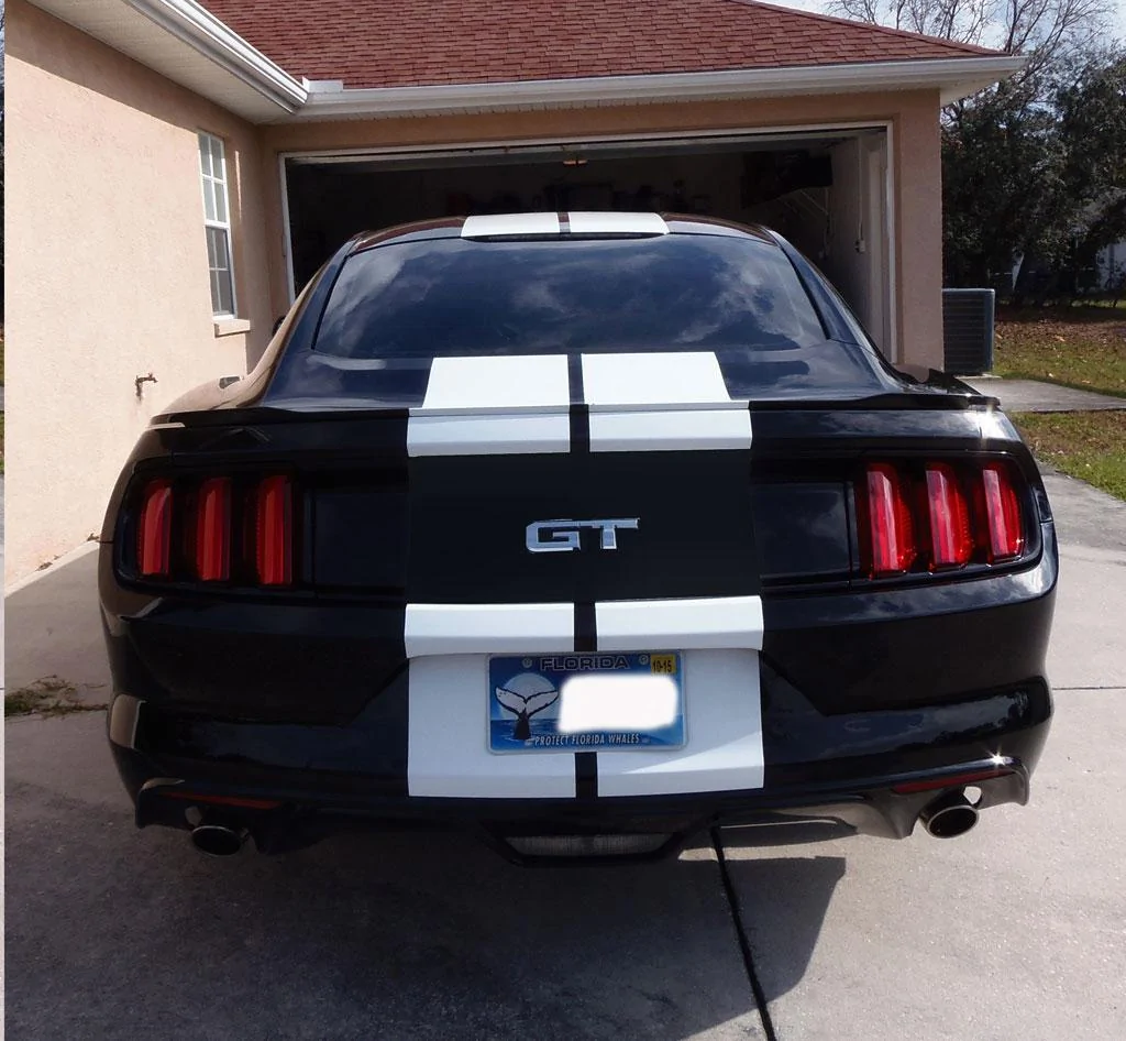 nostripeback.webp
